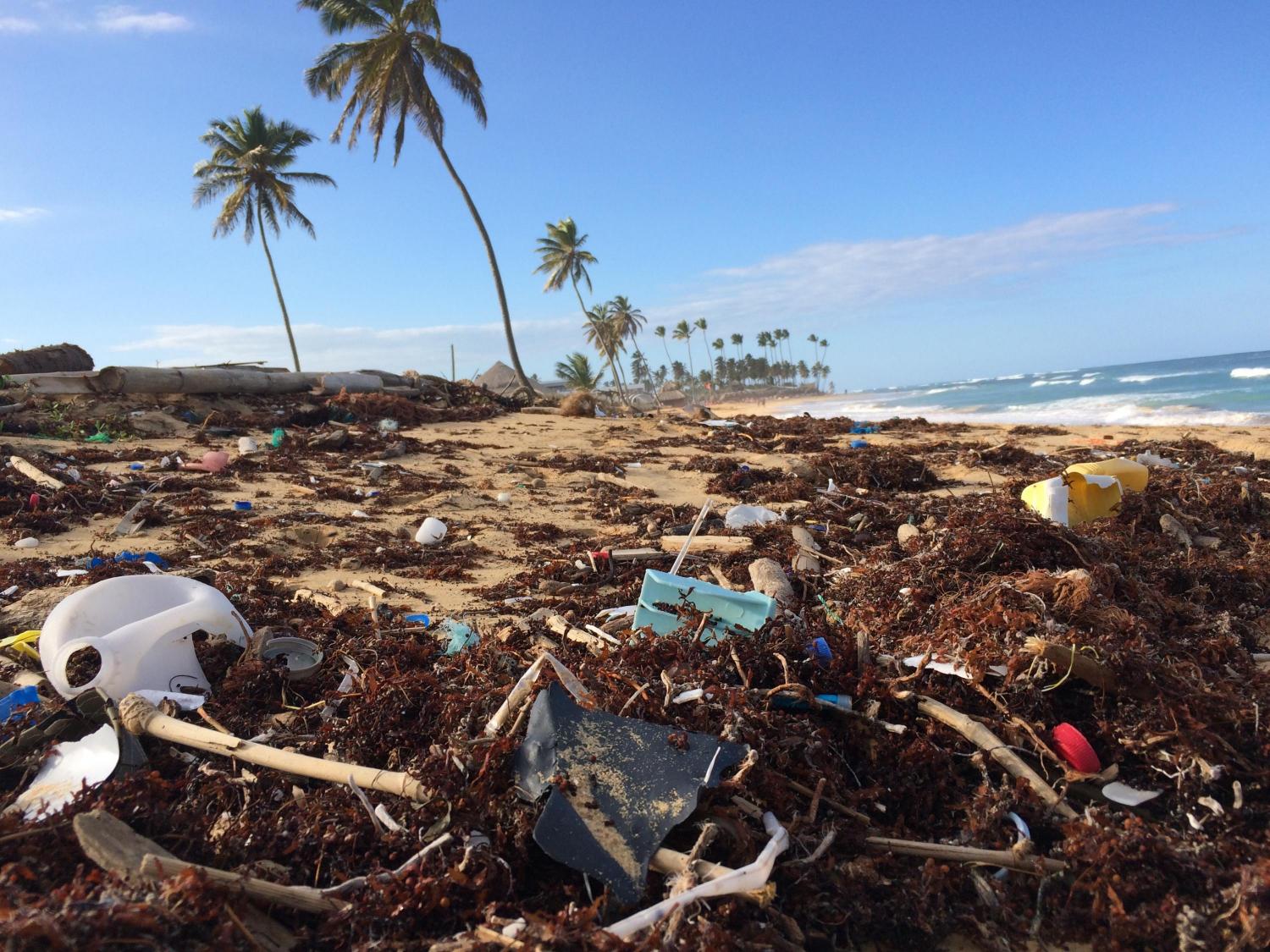 Ocean Plastics